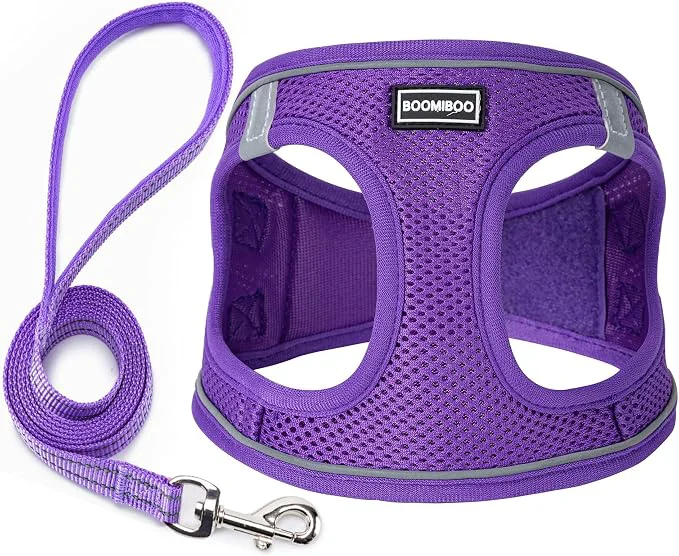 Artisan Dog Harness with Leash Set No Pull Adjustable Reflective Step-in Puppy Pet Reusable