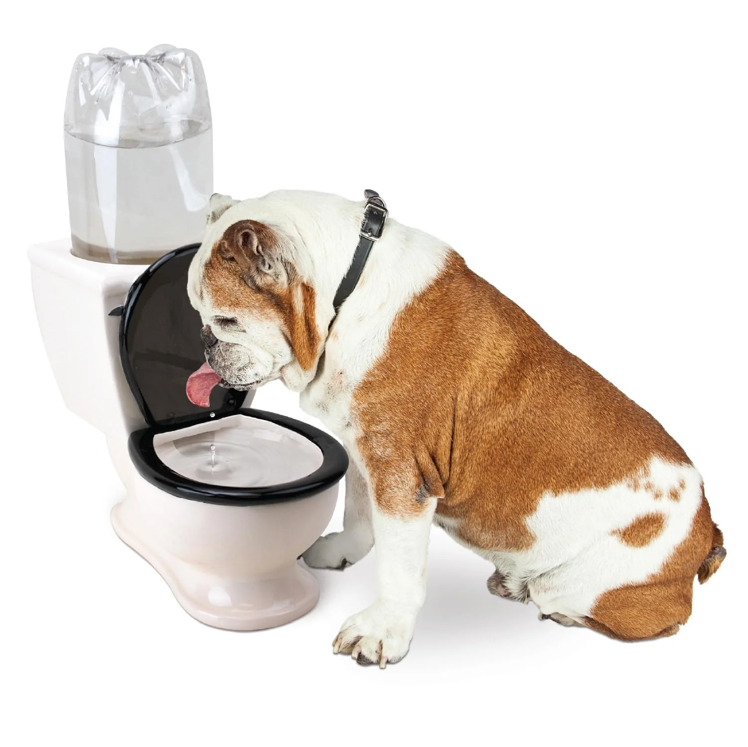 Original BigMouth Inc Toilet Water Dish for Pets — Ceramic Gravity-Fed 2L Bottle Water Bowl for Dogs Cats Excellent