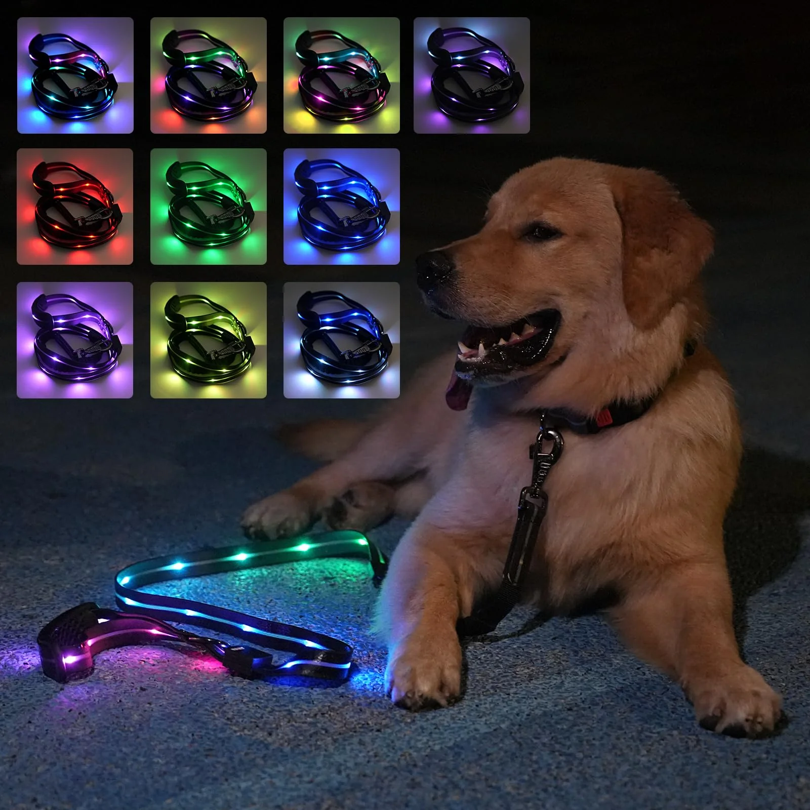Contemporary hamraba 5 ft Light Up Dog Leash – 10 Lighting Modes USB-C Rechargeable Padded Handle Night Walking Safety Lightweight