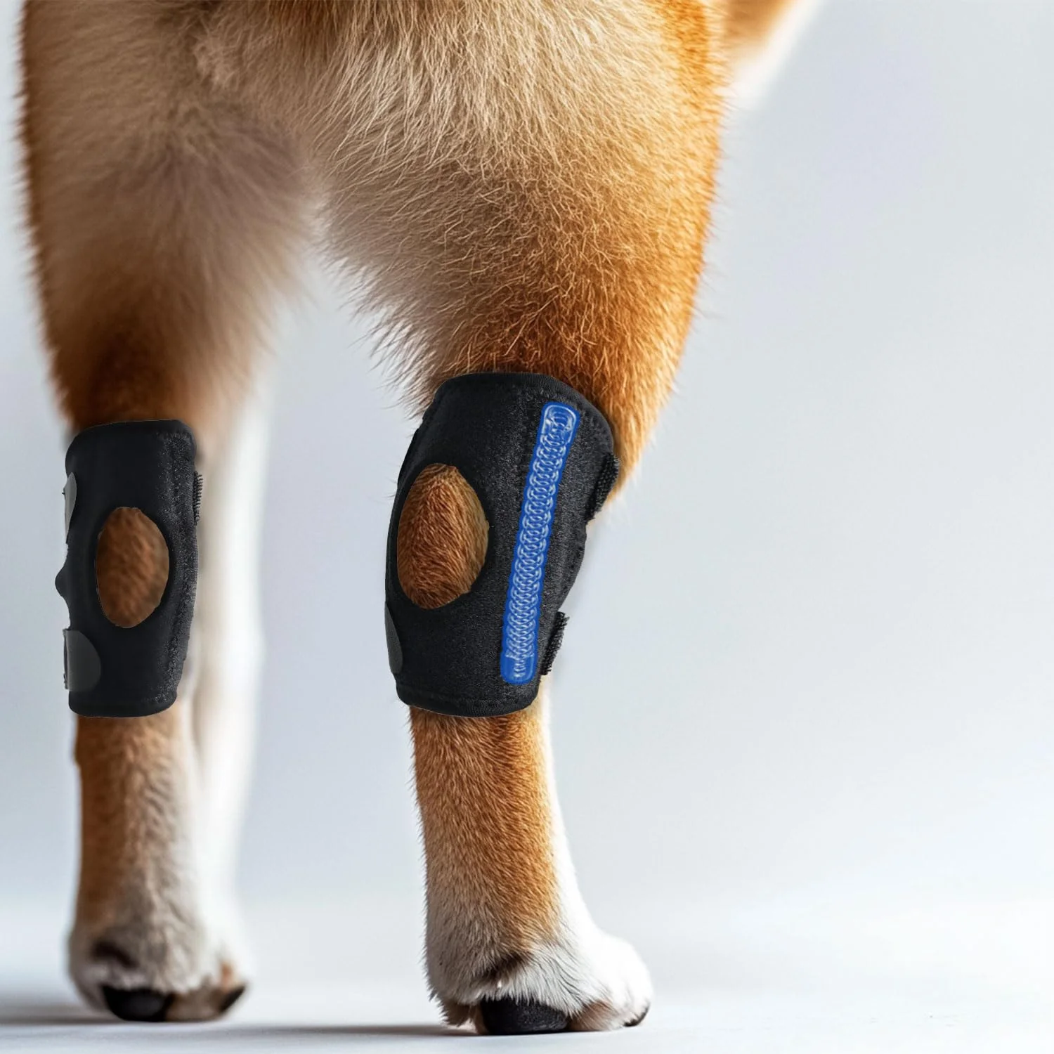 Original Lushnessu Dog Leg Brace – Front Rear Leg Support Replaceable Bars Size S Elite