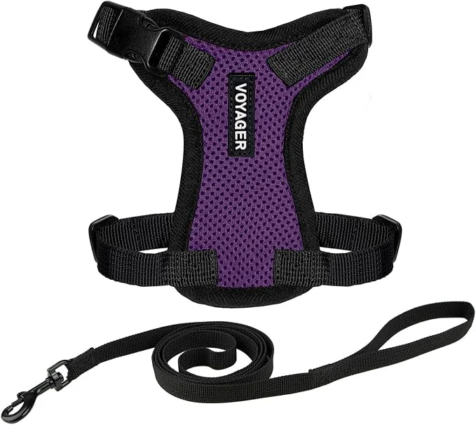 Contemporary Voyager Escape-Proof Step-in Lock Cat Harness 5ft Neoprene-Handle Leash Set Dependable