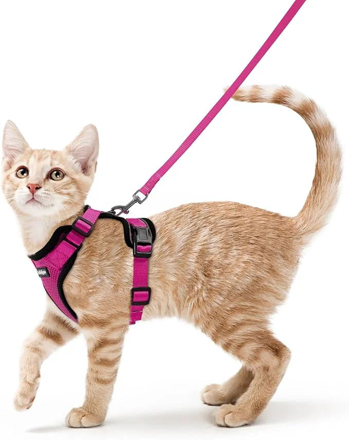Safe rabbitgoo Cat Harness and Leash Official