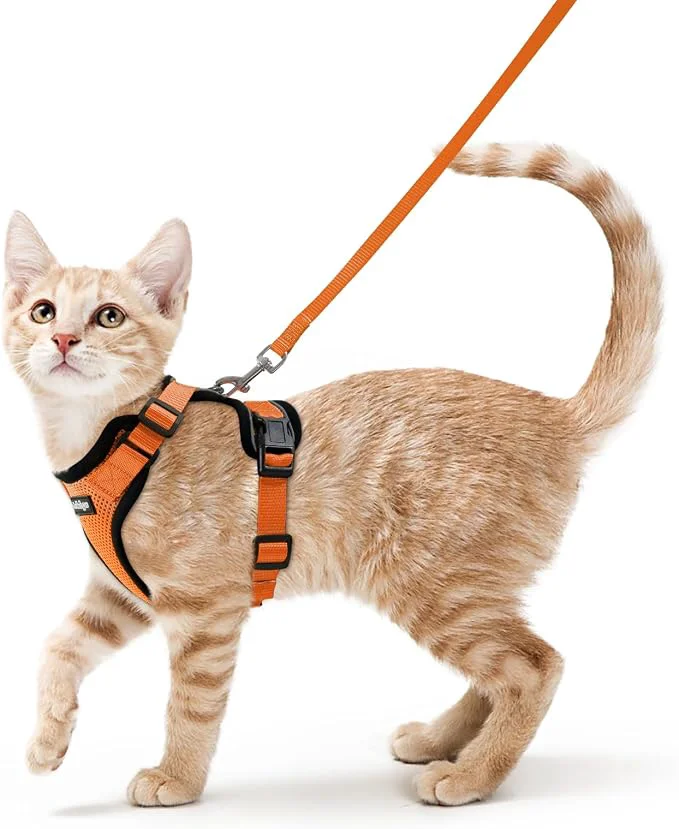Certified rabbitgoo Cat Harness and Leash Refined