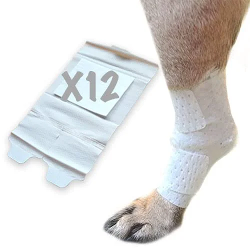 Specialty PawFlex Joint Large Area Bandages for Dogs Cats Pets — Non-Adhesive Adjustable Strap 12pk Small Premium Material