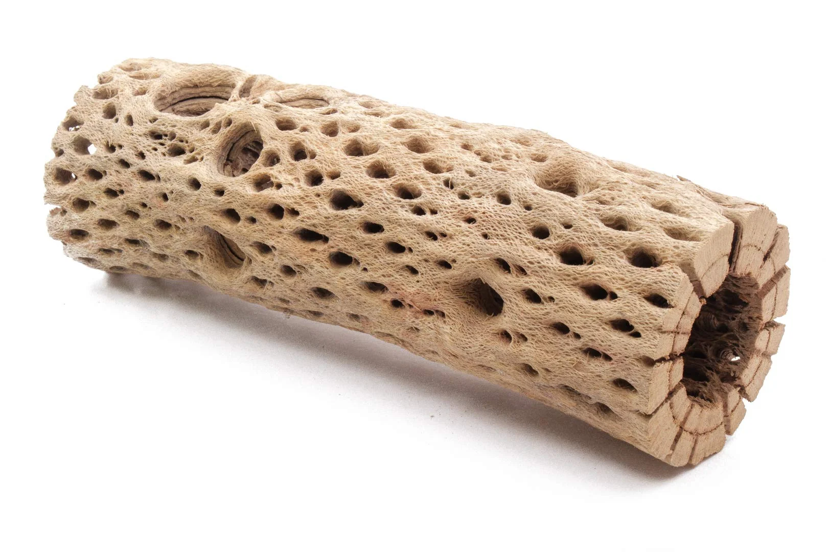 Trendy My Pet Patrol Teddy Bear Cholla Wood — Extra Hollow Aquarium Driftwood 3-12 in Selected