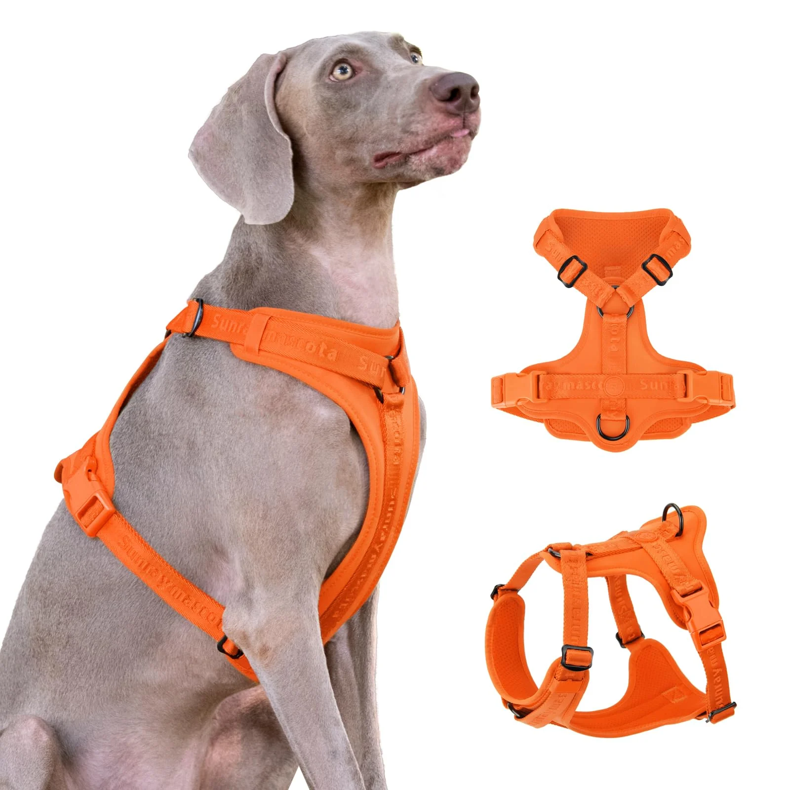Easy-to-Use Sunraymascota No Pull Dog Harness with Lycra – Three-Point Dispersion 3D Padding Orange XS Contemporary