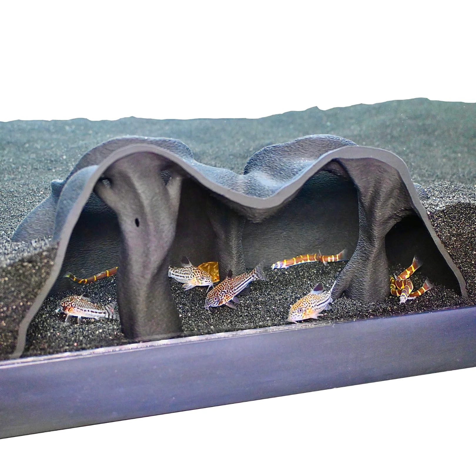 Dependable Lucky Critter Aquarium Underground Cave – Natural Mangrove Tree Hide Viewing Tunnel Sustainable