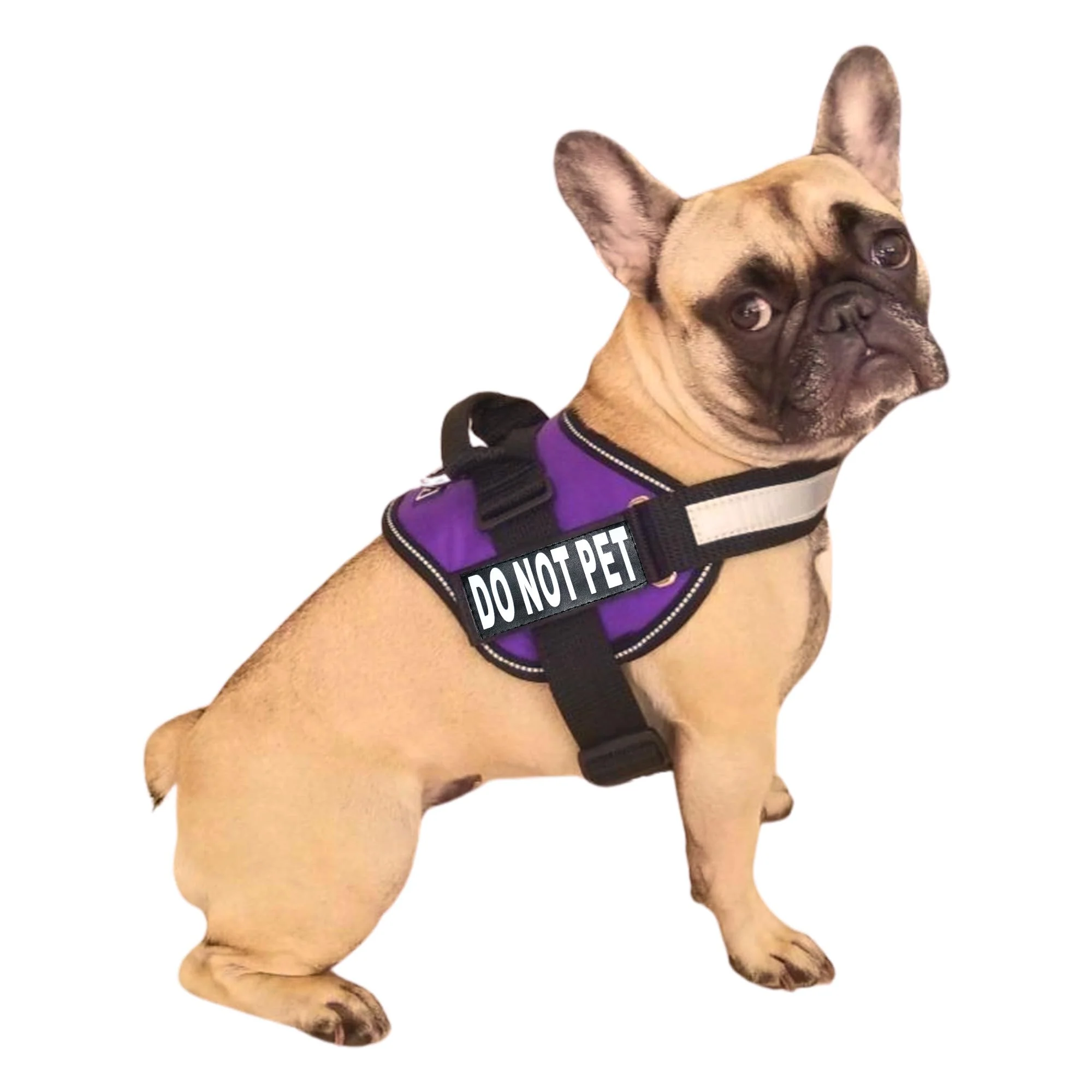 Classic Doggie Stylz Dog Harness with DO NOT PET Patches — No-Pull Service Training Vest Reflective Heavy-Duty Outstanding