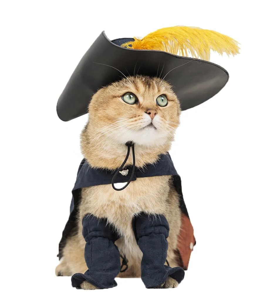 Organic DZTYG EOILFM Puss in Boots Pet Costume – Medium Black for Cats Dogs Innovative