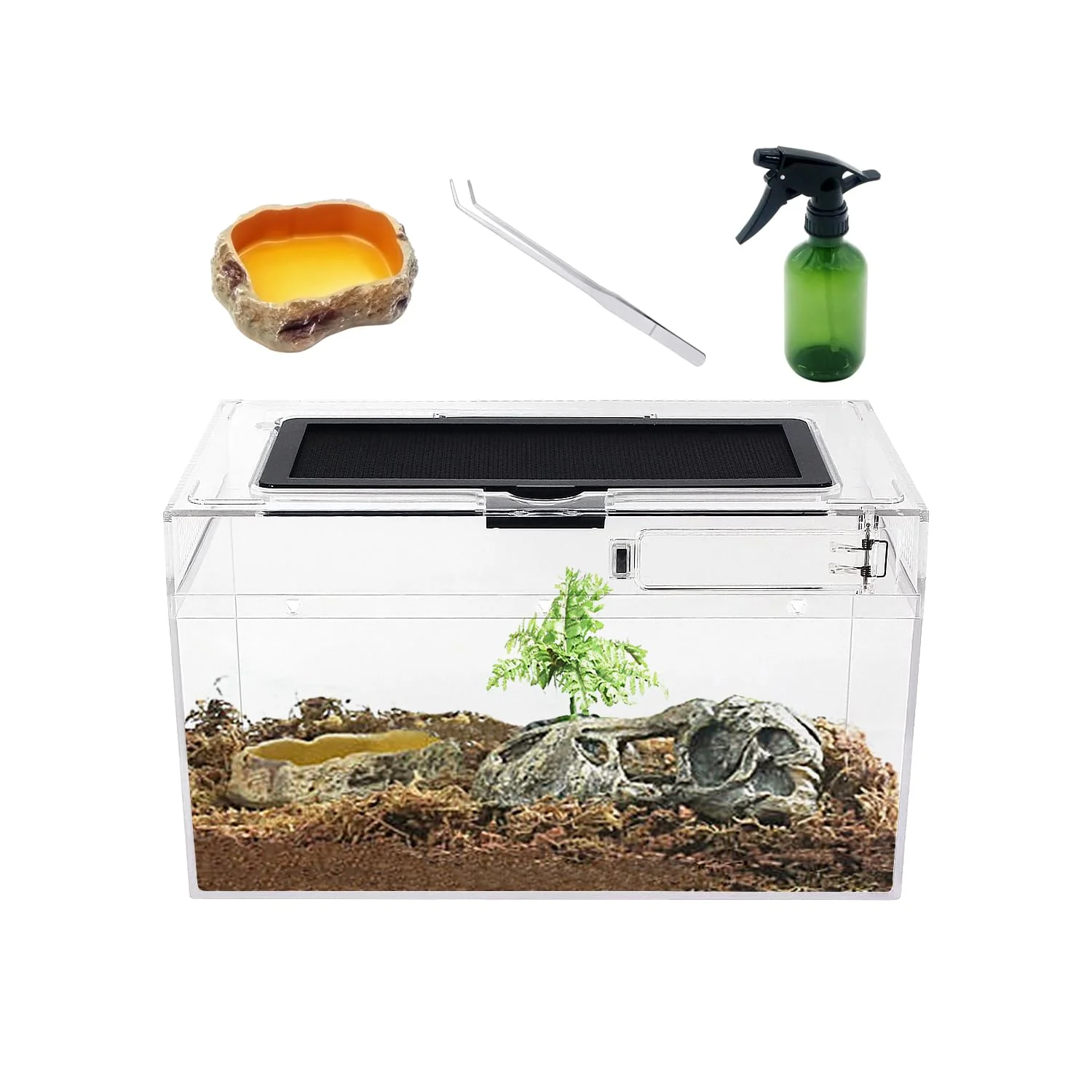 Superior Mini Reptile Terrarium Set 12 by 7 by 6 inches – Full-View Low Tank by Reptile Growth Verified