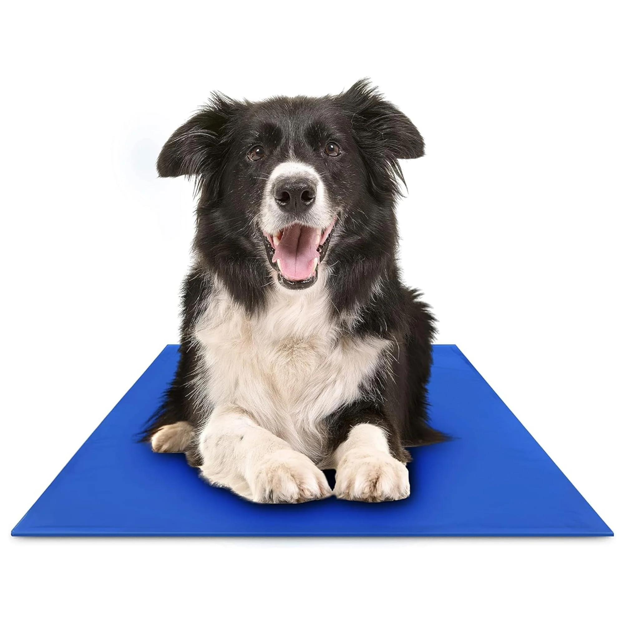 Proven The Green Pet Shop Chillz Gel Mat Large – Pressure-Activated Cooling Pad for Pets 25-50 lbs Expertly Made