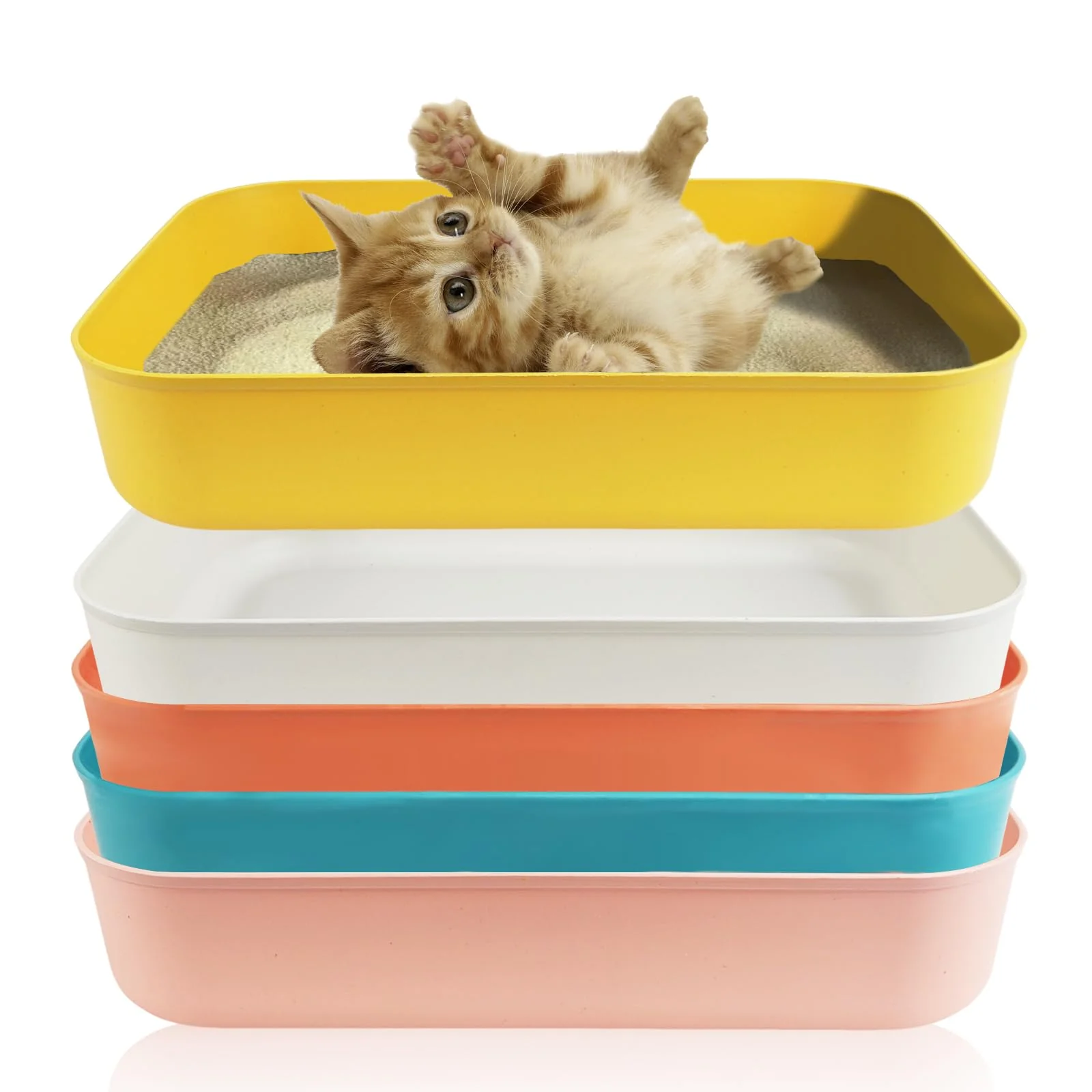 High-End GCVOPTON 5PCS Small Litter Box Set – 13.9 x 9.8 x 3 in Open Kitten Litter Boxes 5 Colors Advanced