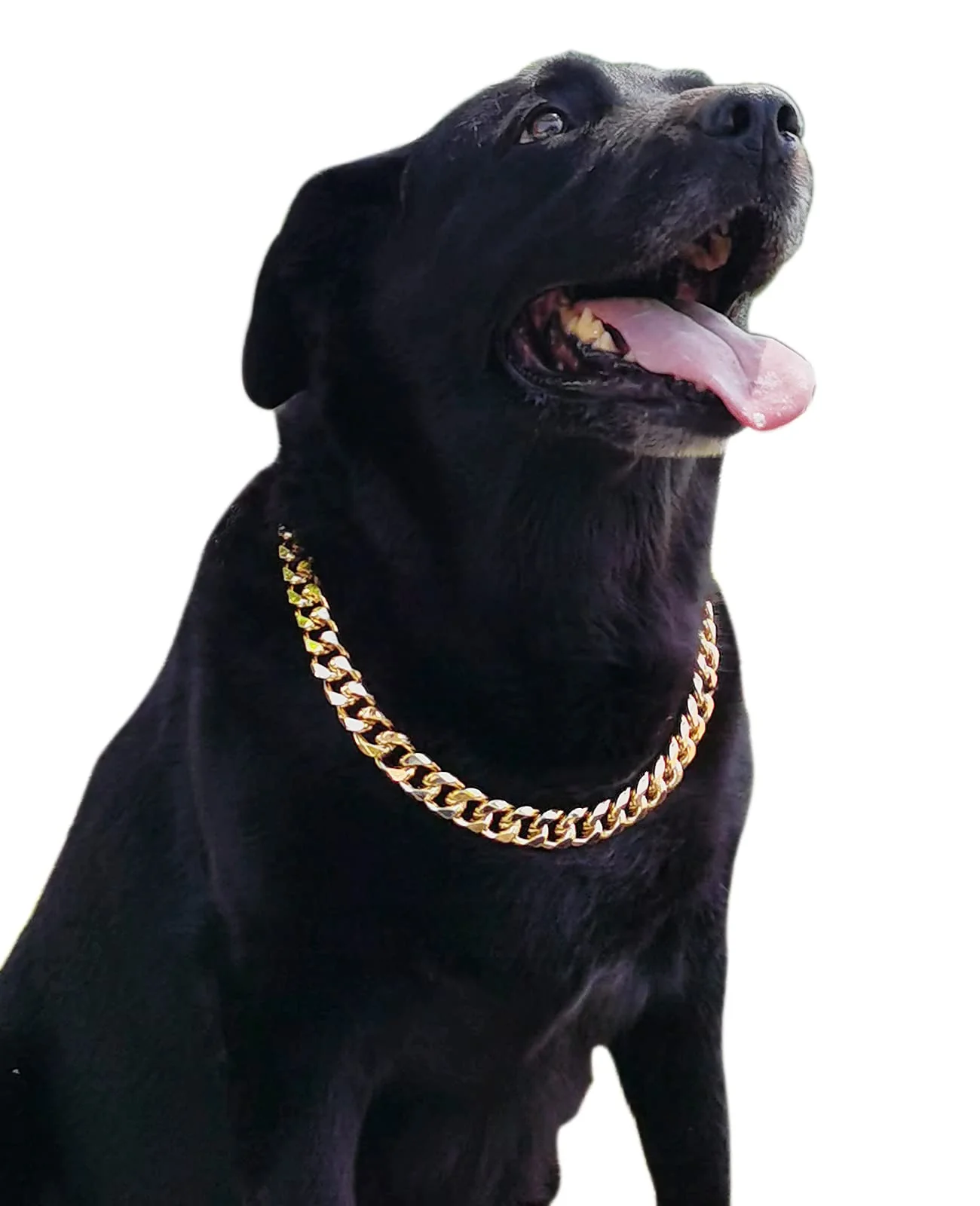 Flexible PP COLOR Gold Chain Dog Collar – 3 4 Inch Cuban Link Necklace Lightweight Adjustable 26 Verified