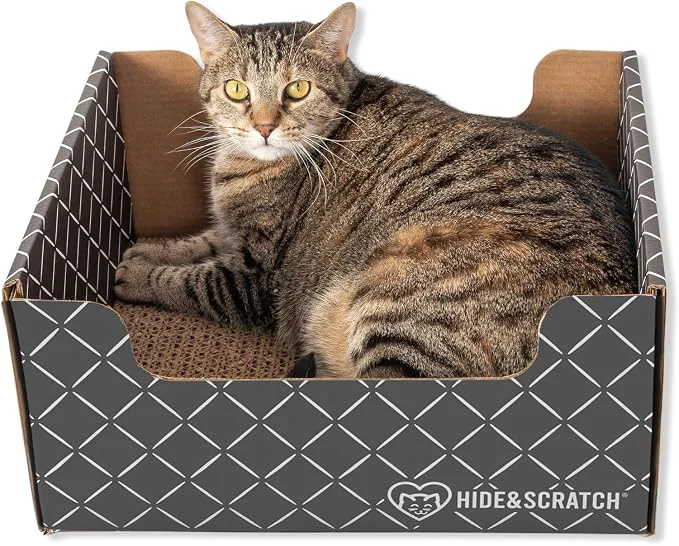 Casual Hide Scratch Cardboard Cat Scratcher Box Bed Green
