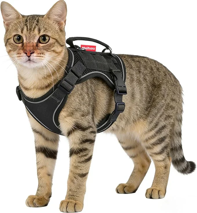 Exceptional Dog Harness and Leash Set Small Sized No Pull Pet Harness Smooth