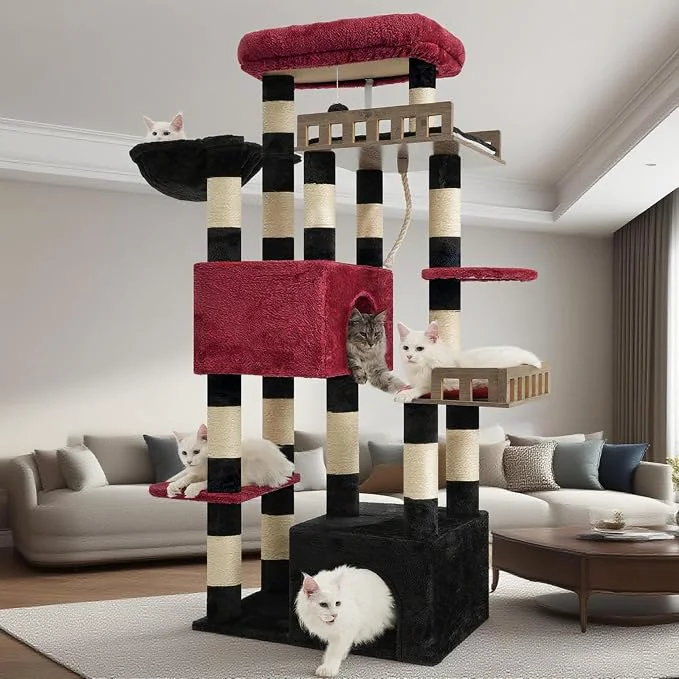 Sophisticated Maine Coon Cat Tree Heavy Duty Cat Tree Excellent