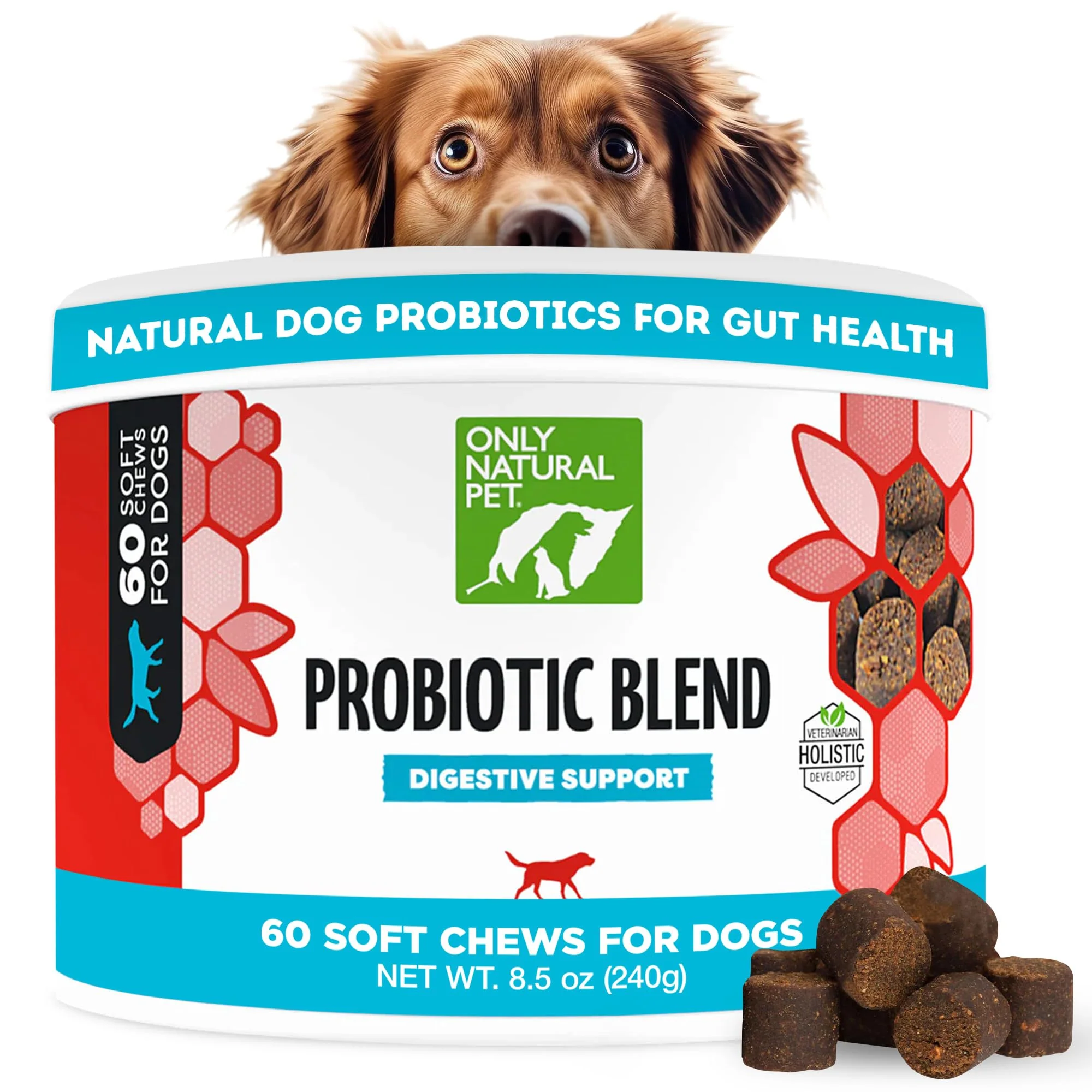 Recyclable Only Natural Pet Probiotic Dog Cat Supplement — Digestive Gut Health Enzyme Formula 60 Count Soft Chews Solid