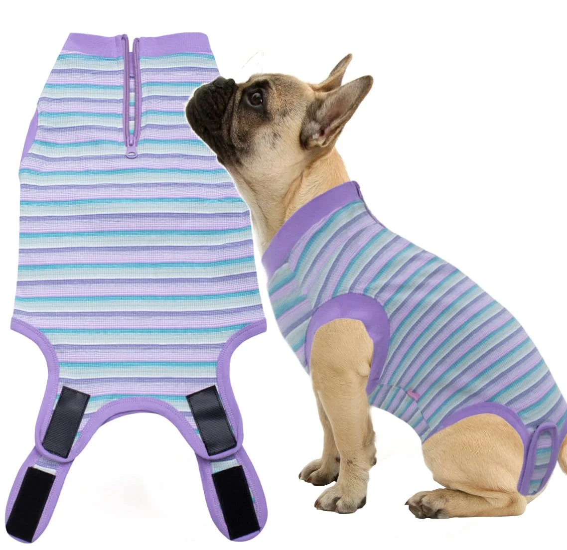 Enhanced Wabdhaly Recovery Suit for Dogs – Zipper Cone for Spay Contemporary
