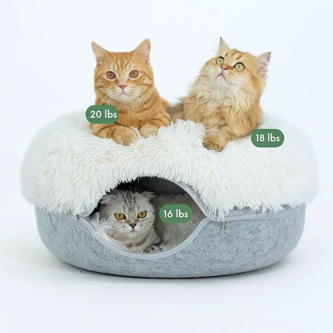 Enhanced CATTASAURUS Peekaboo Cat Cave for Multiple Large Cats Up to 30-45 Lbs Eco-Friendly