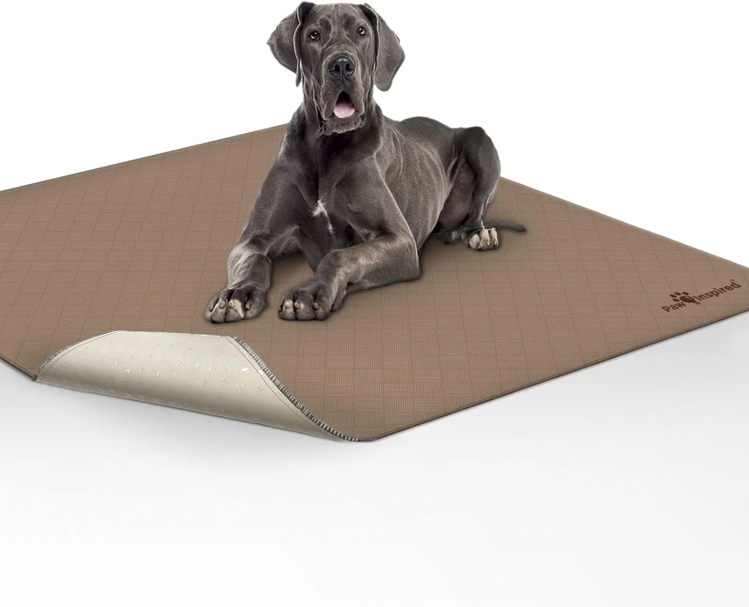 Traditional Paw Inspired Washable Pee Pad for Dogs Leakproof Non-Slip Reusable Puppy Pad for Potty Training Whelping Waterproof Mat 72×72 Size Pack of 1 Casual