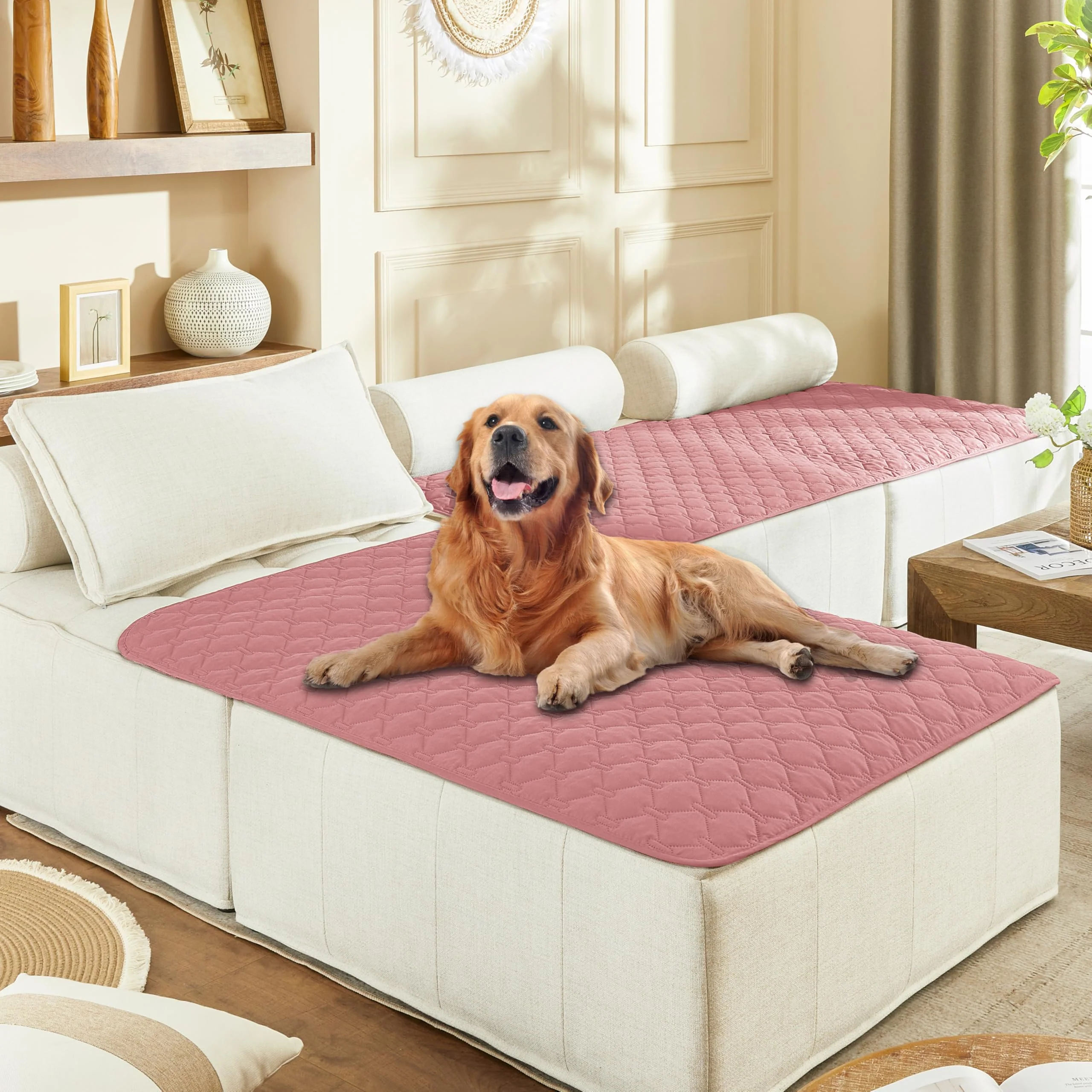 Contemporary gogobunny 3X Stronger Waterproof Pet Blanket — Scratch-Proof Furniture Protector 40×50 in Prestigious
