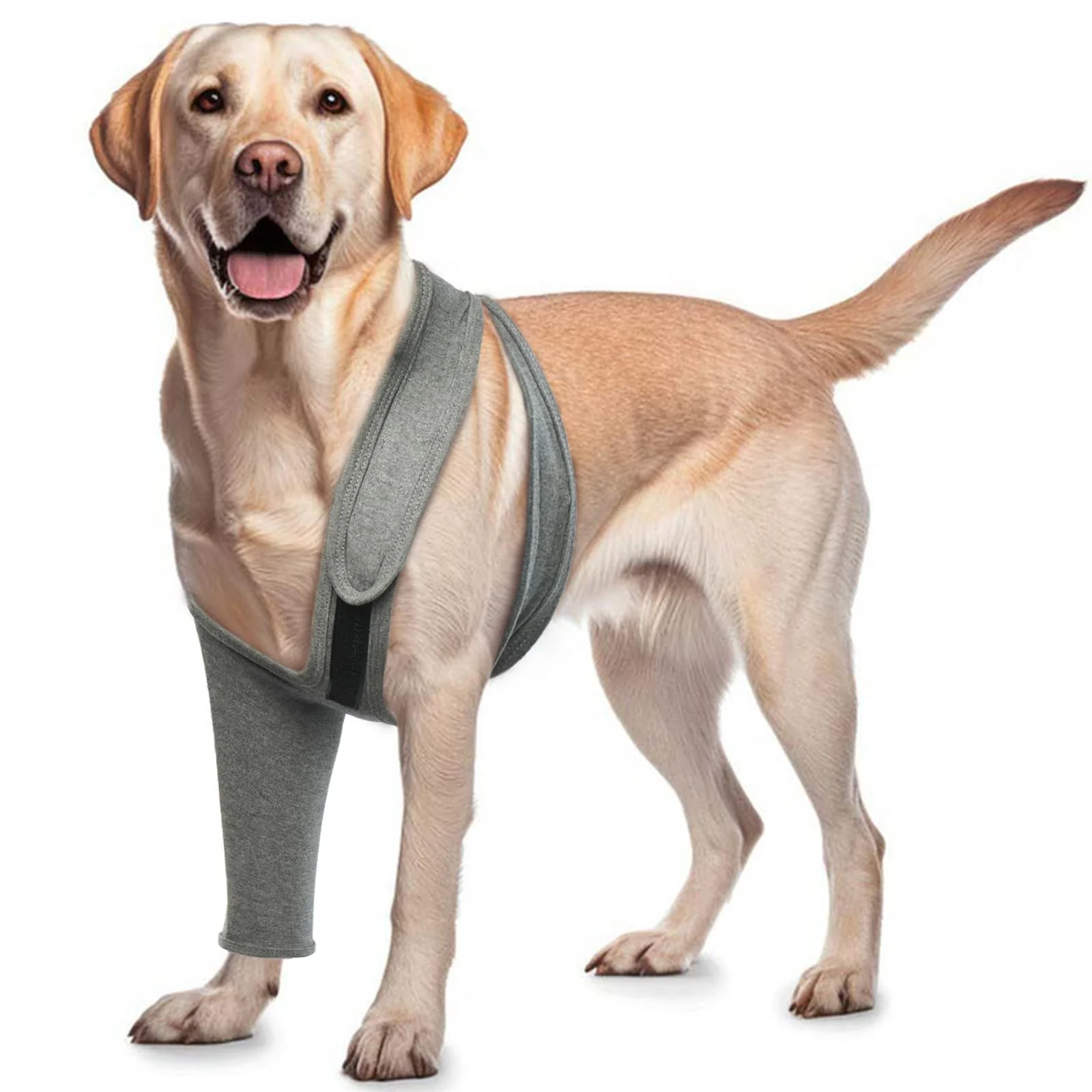 Smooth ROZKITCH Dog Wound Cover – Front Left Leg Recovery Sleeve Licking Prevention Grey M Premium Material