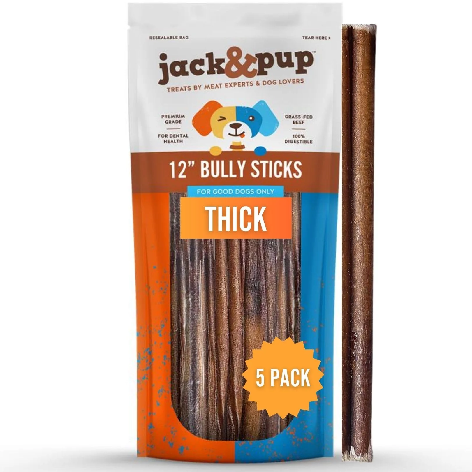 Classic Jack Pup 6 First-Class