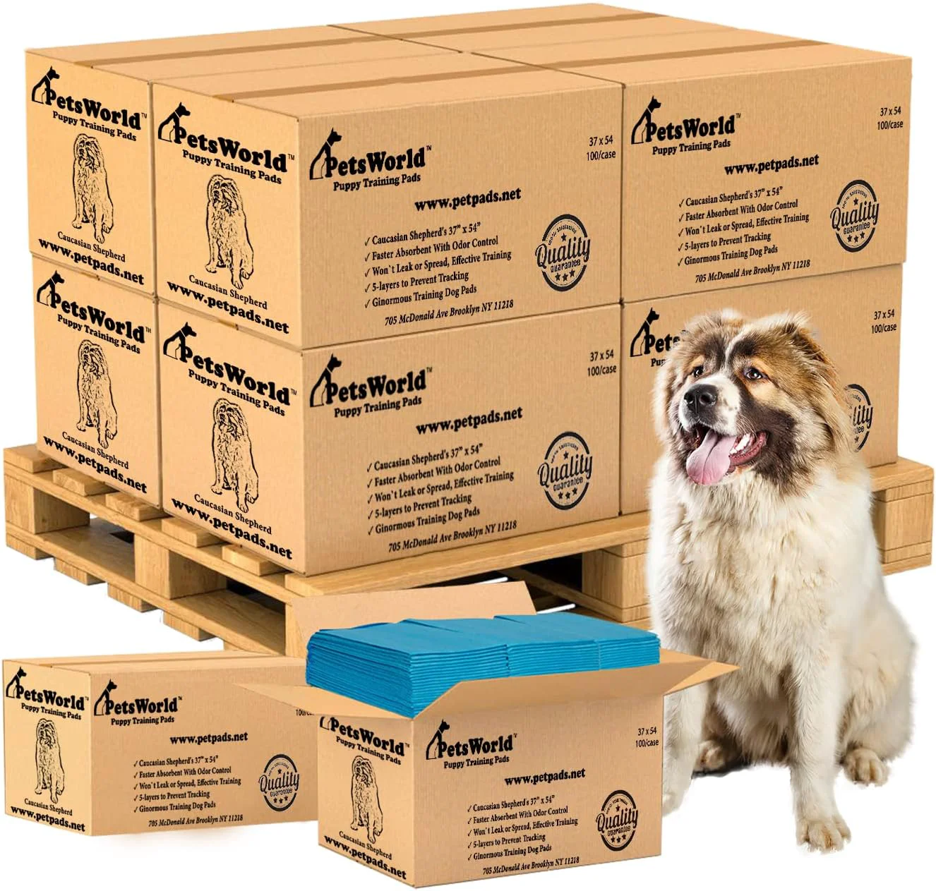 Detailed PETSWORLD Enormous Dog Training Potty Pads 37×54 inch – Tear Resistant with Strong Leak-Proof Backing Optional Adhesive Tape 1000 Count High-Performance
