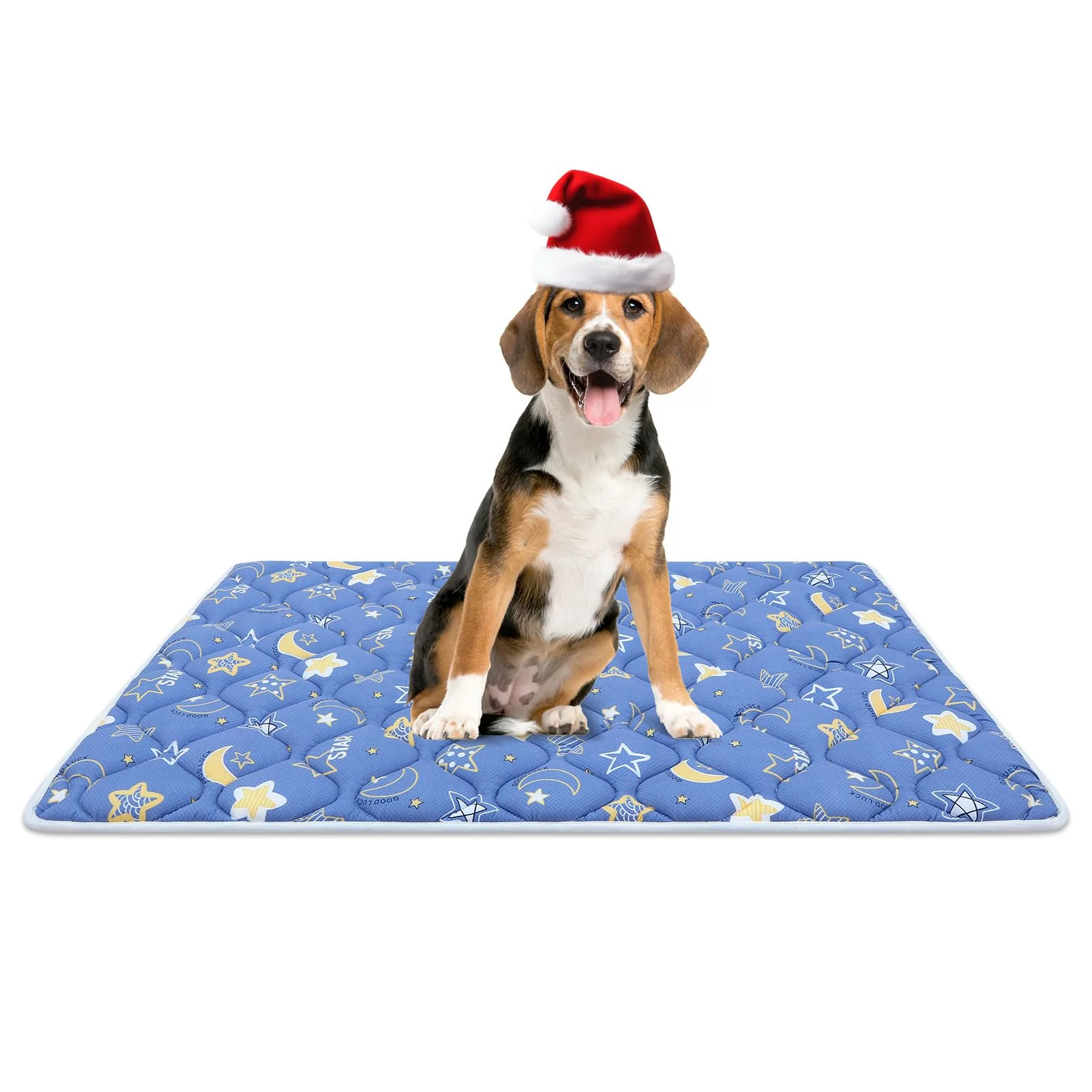 Elite Bubble Bear Dog Crate Mat – Ultra-Soft Anti-Slip Washable 36×23 Next-Generation