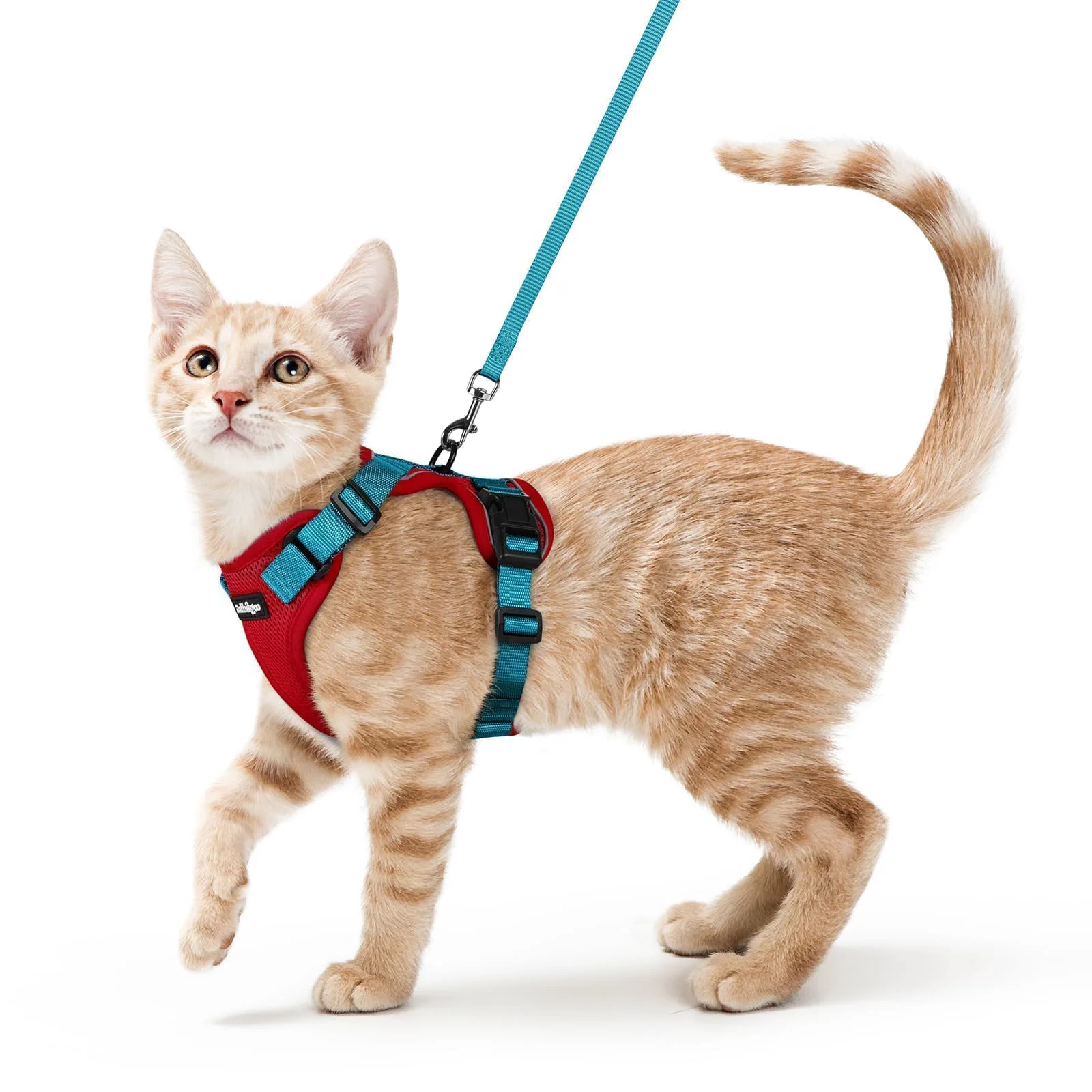 Elegant Rabbitgoo Cat Harness and Leash – Escape-Proof Vest Reflective Strips Adjustable XS Natural