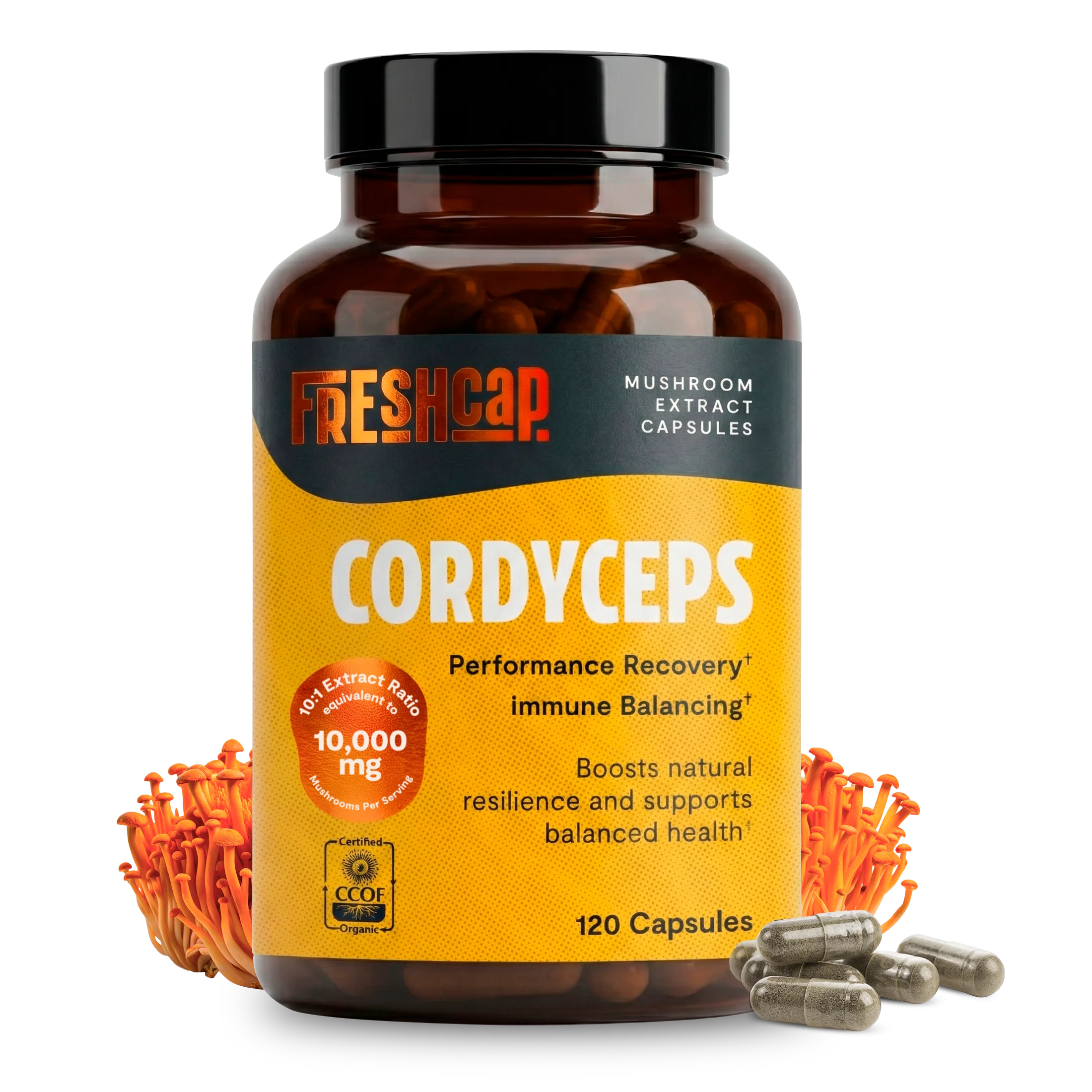 Recyclable Capsules d’extrait de champignon Cordyceps Relaxed