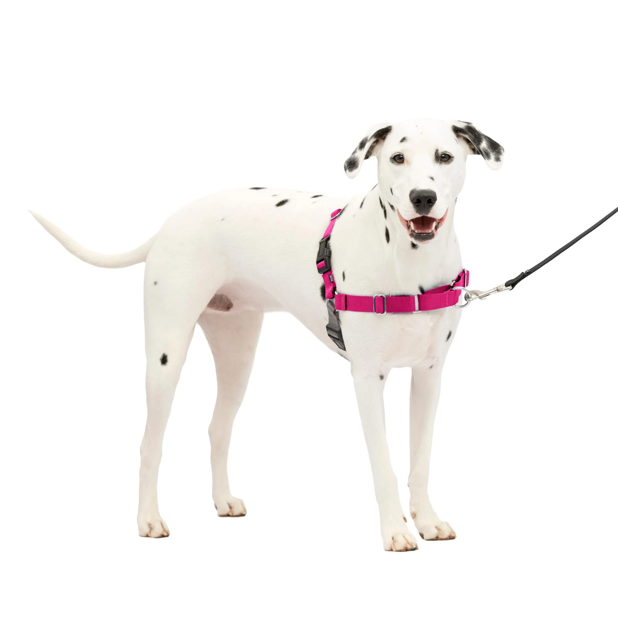 Lightweight PetSafe Easy Walk No-Pull Harness – Medium Large Dogs Stop Pulling Improve Leash Manners Artisan