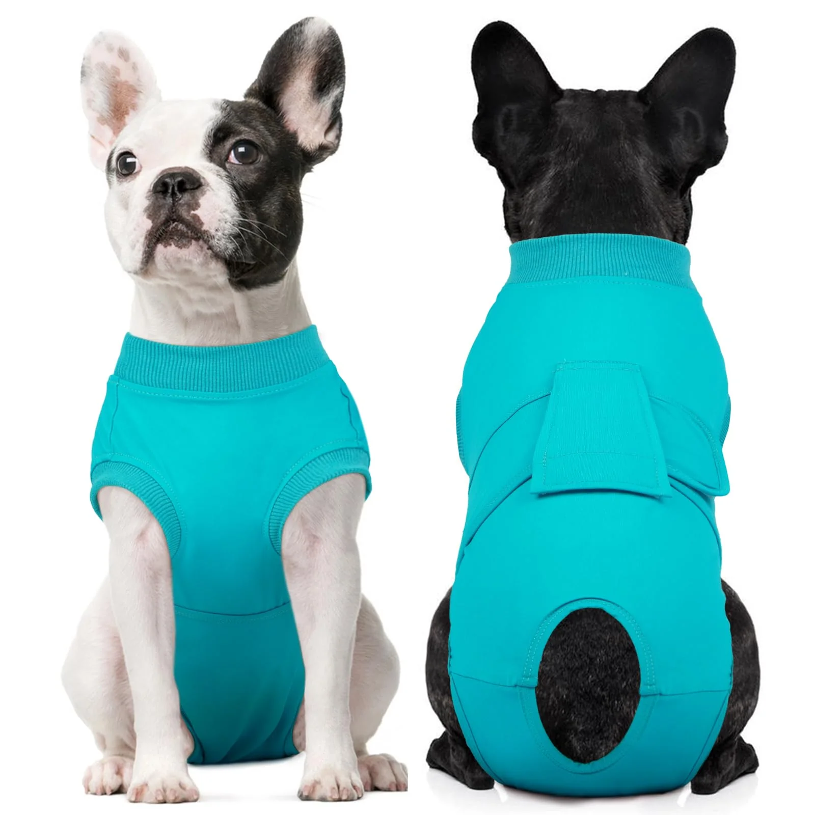Secure Kuoser Dog Recovery Suit – Soft Post-Surgery Onesie for Spay Neuter Lakeblue XS Pure