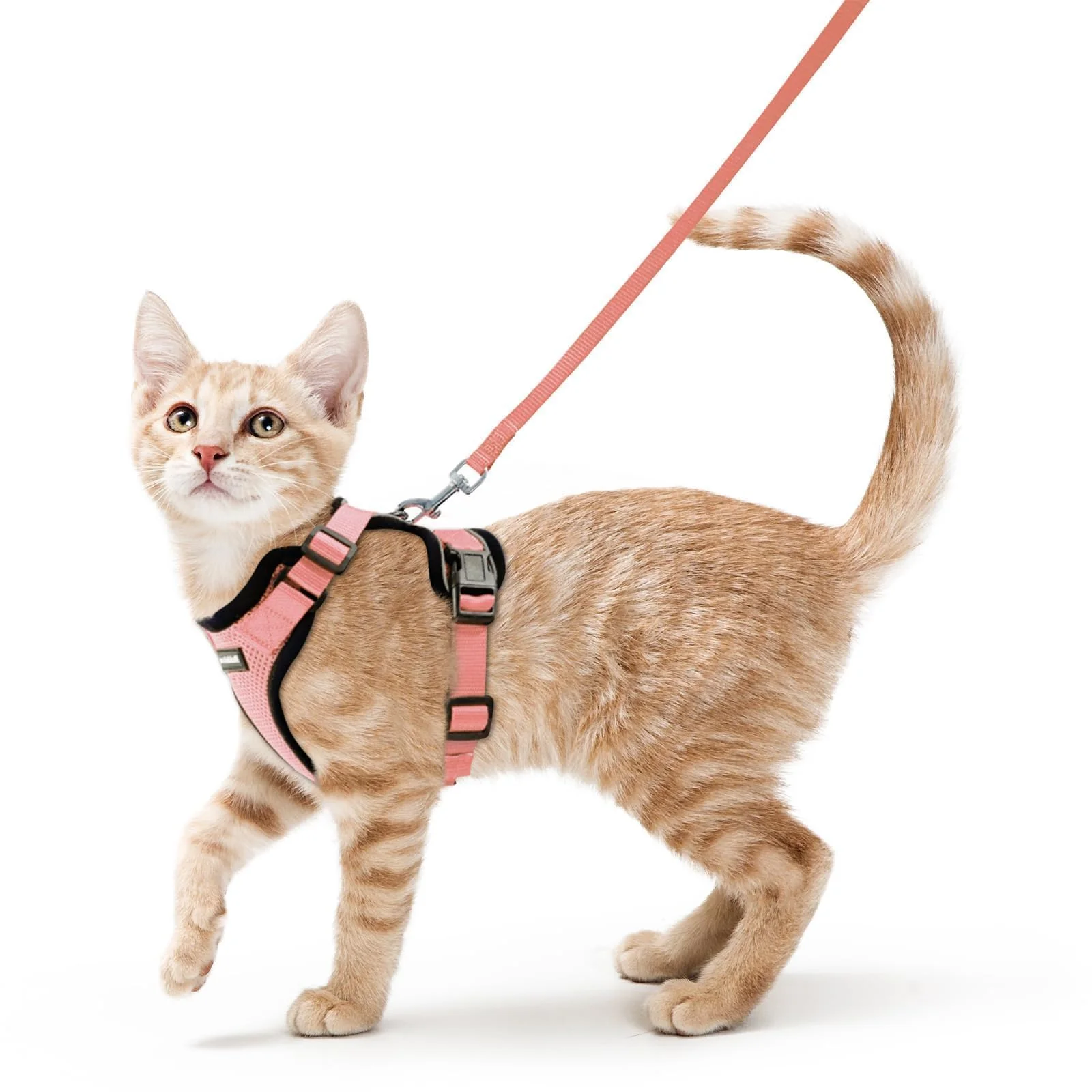 Practical Rabbitgoo Cat Harness Leash – Escape-Proof Breathable Vest Harness for Cats Light Salmon Pink Size S Prestigious
