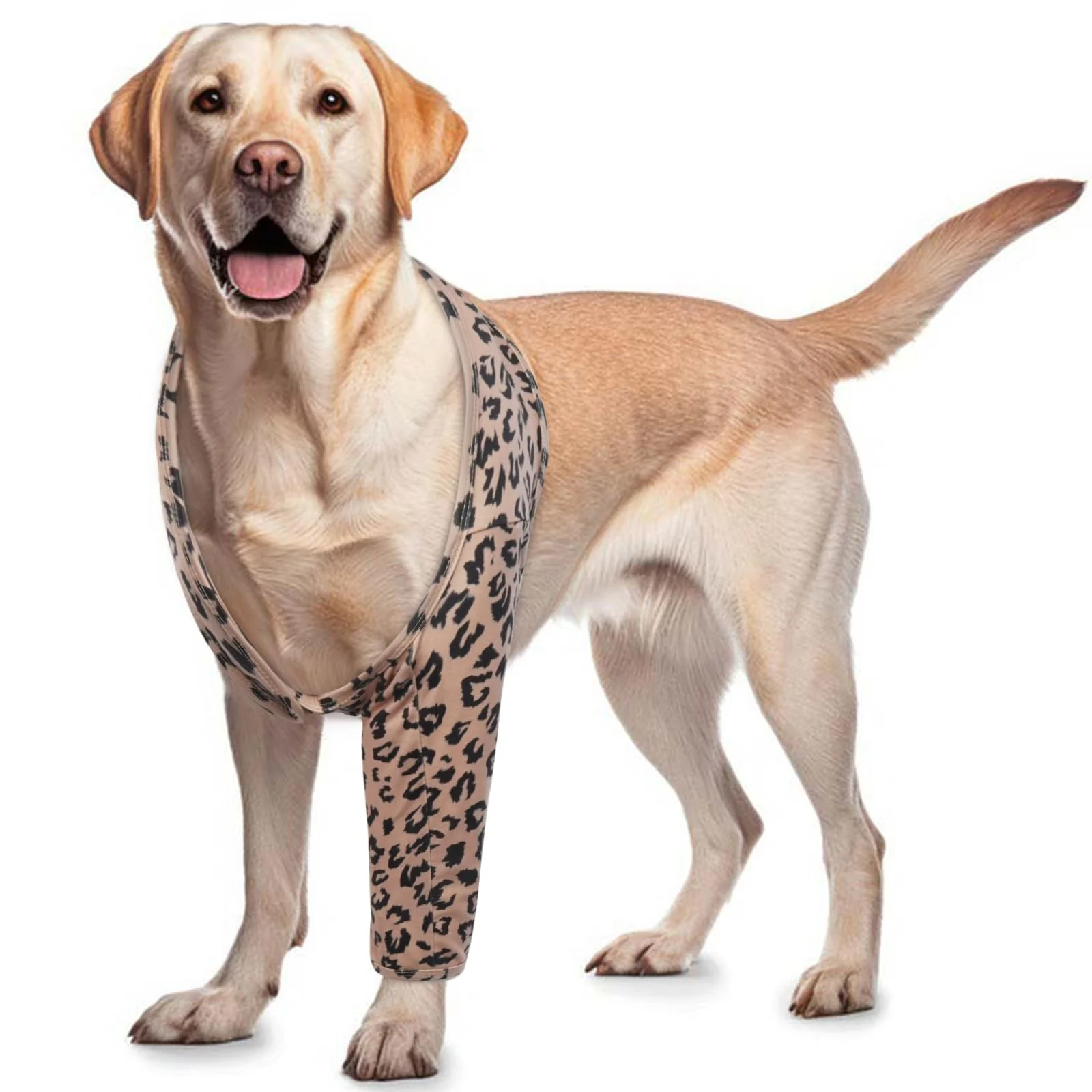 Practical ROZKITCH Dog Front Leg Sleeves — Adjustable Breathable Recovery Sleeve XL for Wounds Post-Op Care Outstanding