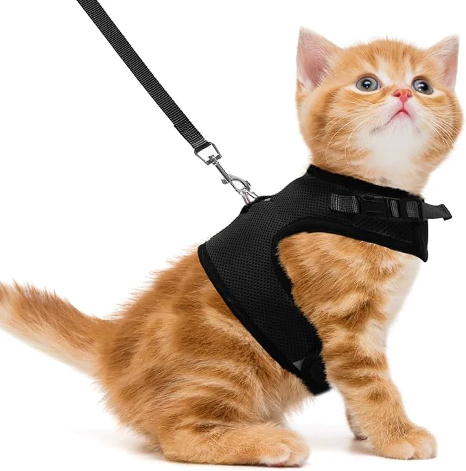 High-Performance PUPTECK Soft Mesh Cat Vest Harness and Leash Set Puppy Padded Pet Harnesses Original