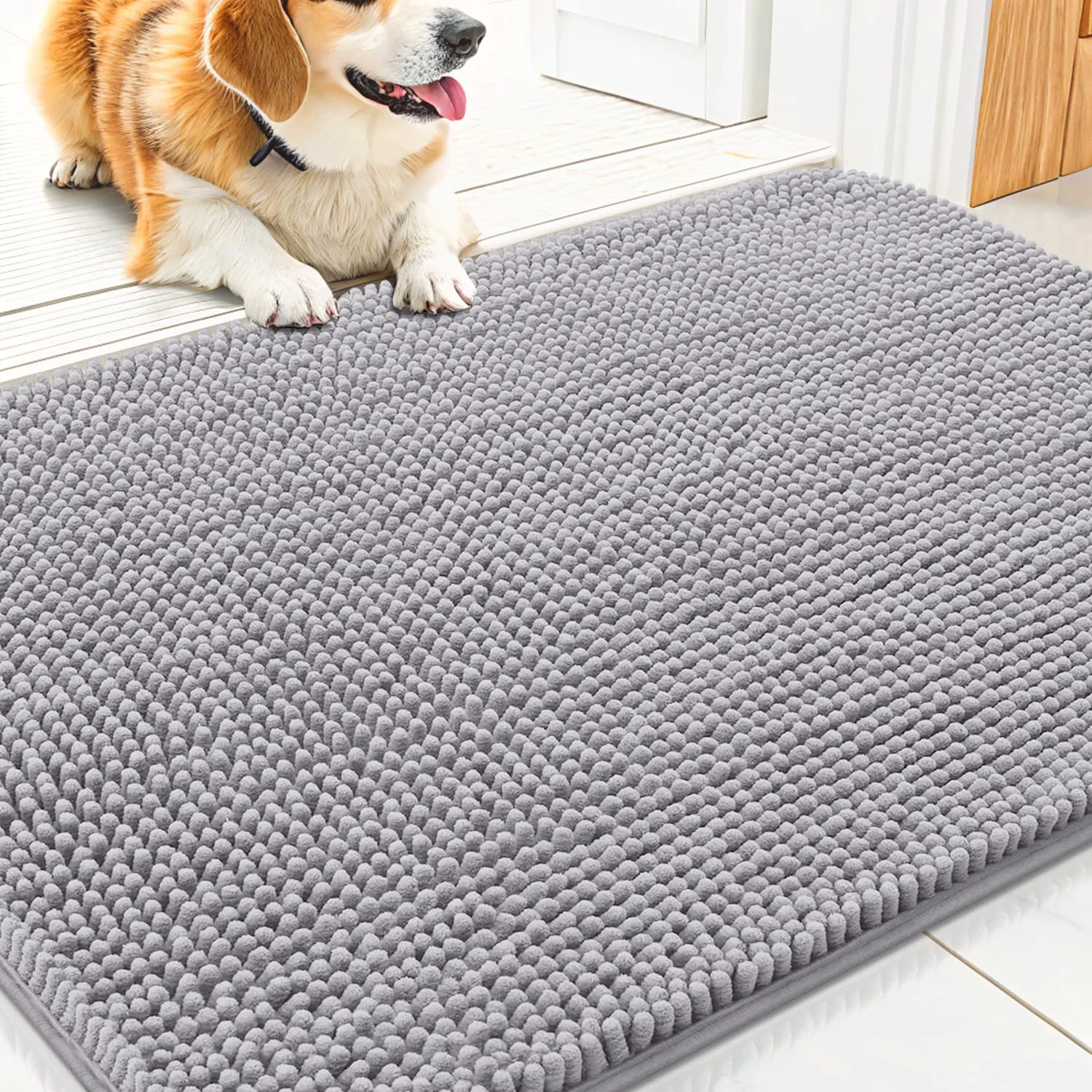 Premium Material Smiry Dog Door Mat 30×20 — Absorbs Moisture Dirt Non-Slip Chenille Entrance Mat Light Grey Proven