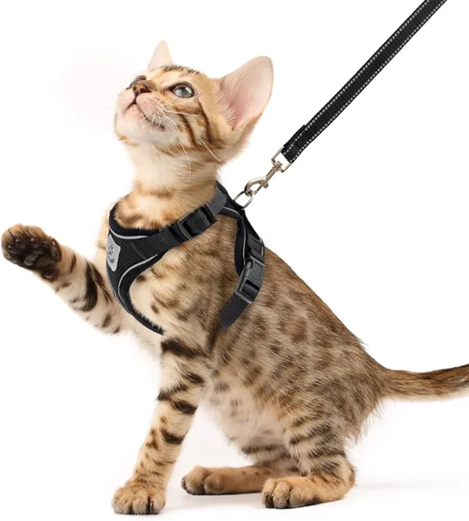 Secure PUPTECK Cat Harness and Leash Set Escape Proof Reflective Cat Walking Harness Proven