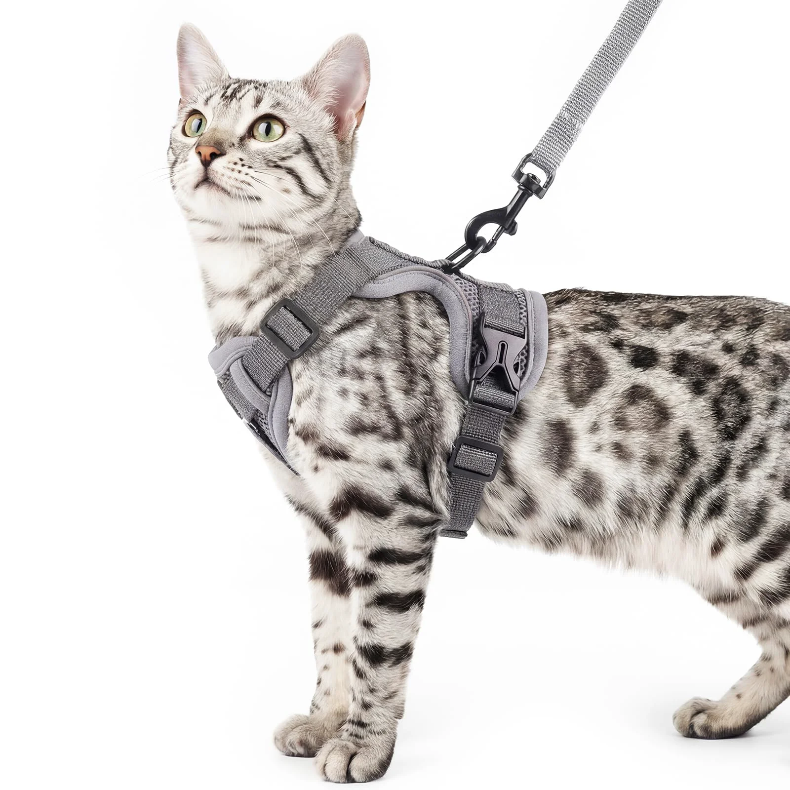 Minimalist pangdi Cat Harness Leash Set – Escape-Proof Tactical Vest XL Grey Smart
