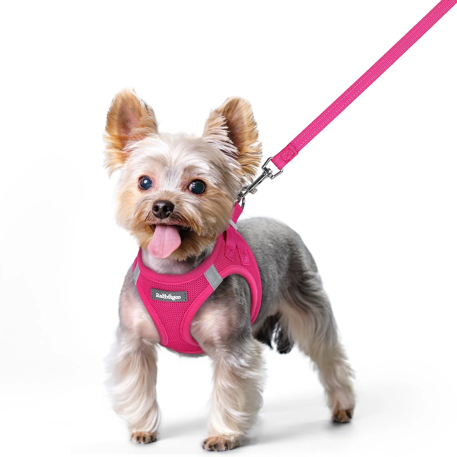 Fine Crafted rabbitgoo Dog Harness XS Step-In Leash Set Rose Red Breathable Mesh Reflective