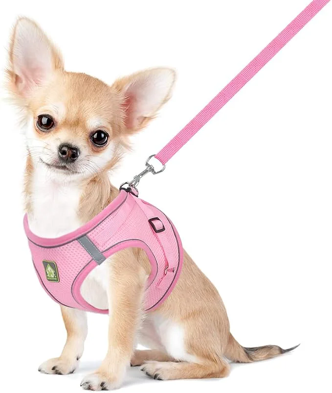 Top-Quality FEimaX Dog Harness and Leash Set No Pull Breathable Soft Mesh Puppy Vest Effective