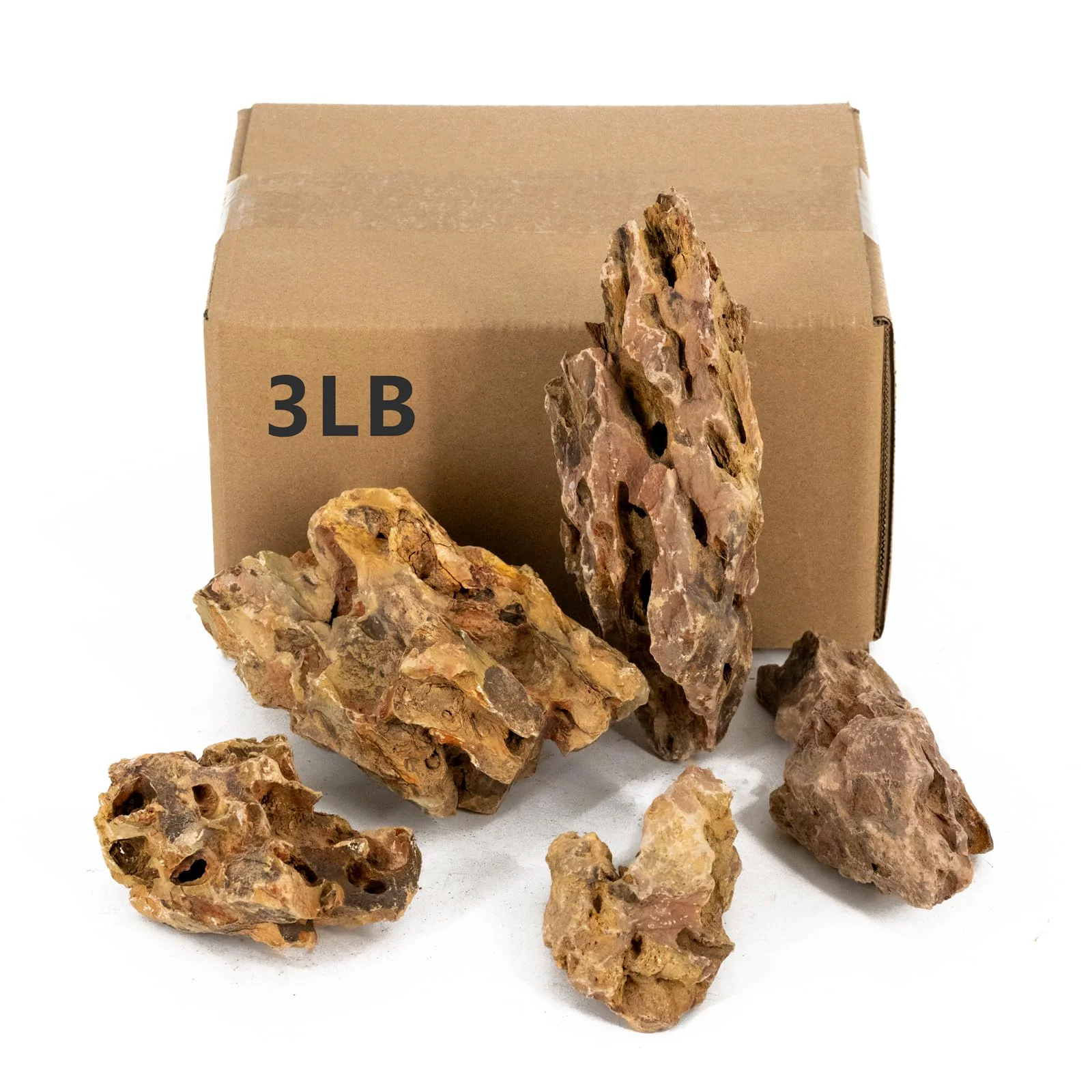 Detailed ChaoLeHo Dragon Stone Rocks – Natural 3lb Aquarium Terrarium Decor Refined