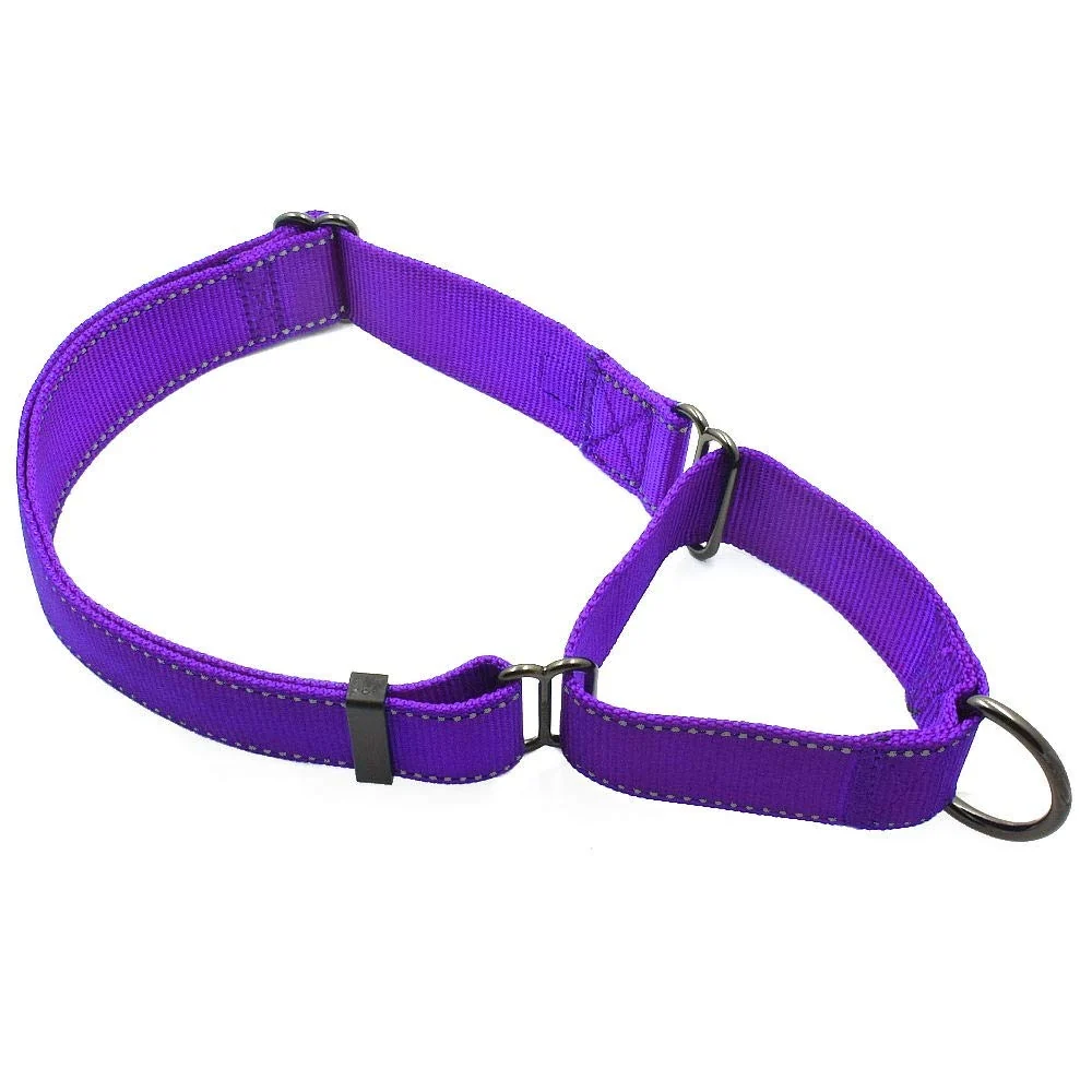 Practical Max and Neo Nylon Extra Large Dog Martingale Collar – Purple 1-for-1 Rescue Donation Selected
