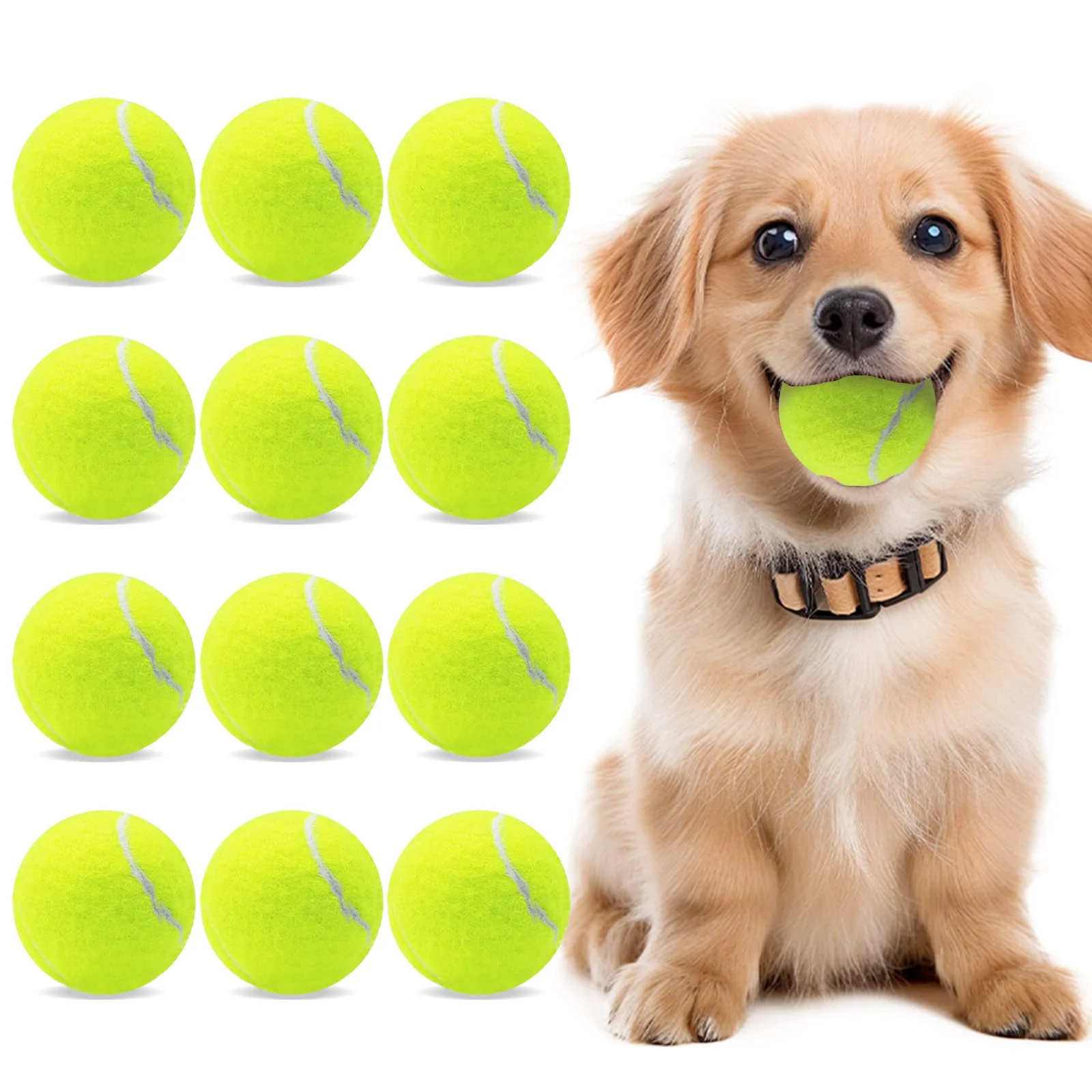 Smooth orange 12 Pack Small 2-Inch Dog Tennis Balls – Colorful Easy-Catching Toy World-Class