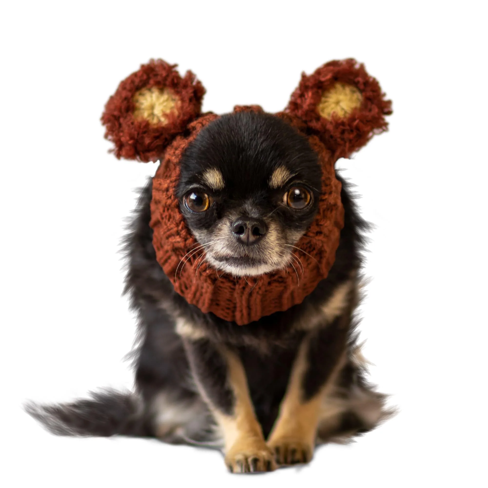World-Class Zoo Snoods Fuzzy Bear Costume for Small Dogs Warm Knit Dog Snood Dependable