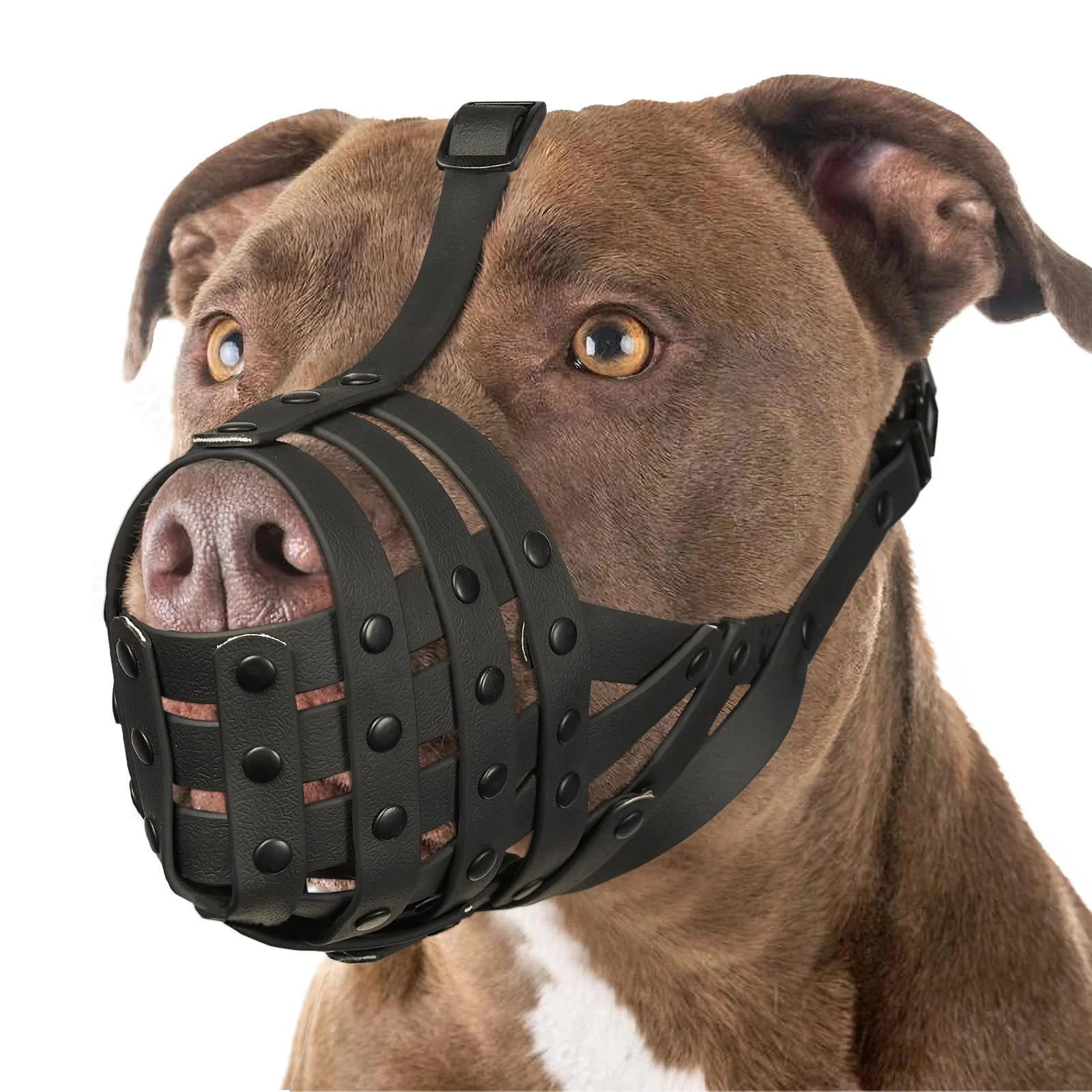 Elegant Mayerzon Pitbull Muzzle for Large Dogs — Adjustable Breathable Basket Muzzle Safe