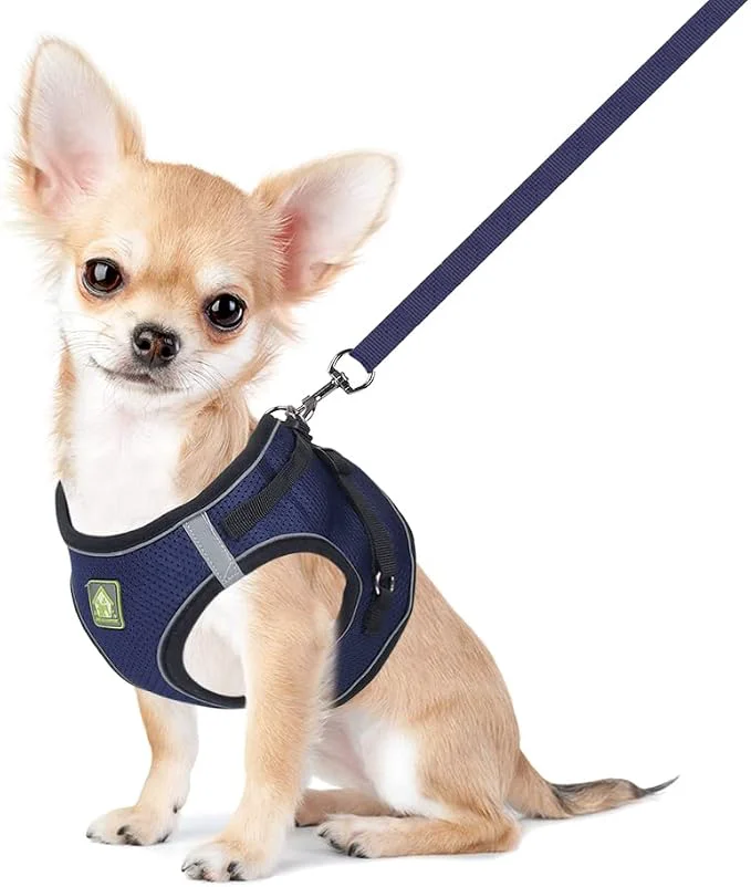 Easy-to-Use FEimaX Dog Harness and Leash Set No Pull Breathable Soft Mesh Puppy Vest High-Performance