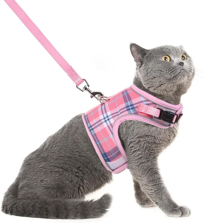 Functional PUPTECK Soft Mesh Cat Vest Harness and Leash Set Puppy Padded Pet Harnesses Flexible