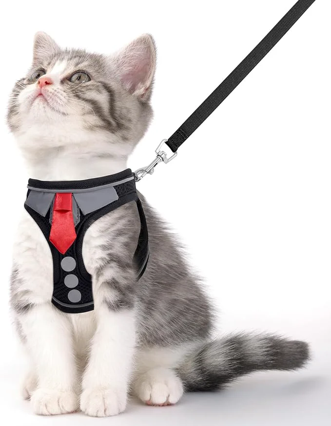 Sustainable Cat Harness and Leash Set for Walking Escape Proof Soft Adjustable Kitten Durable
