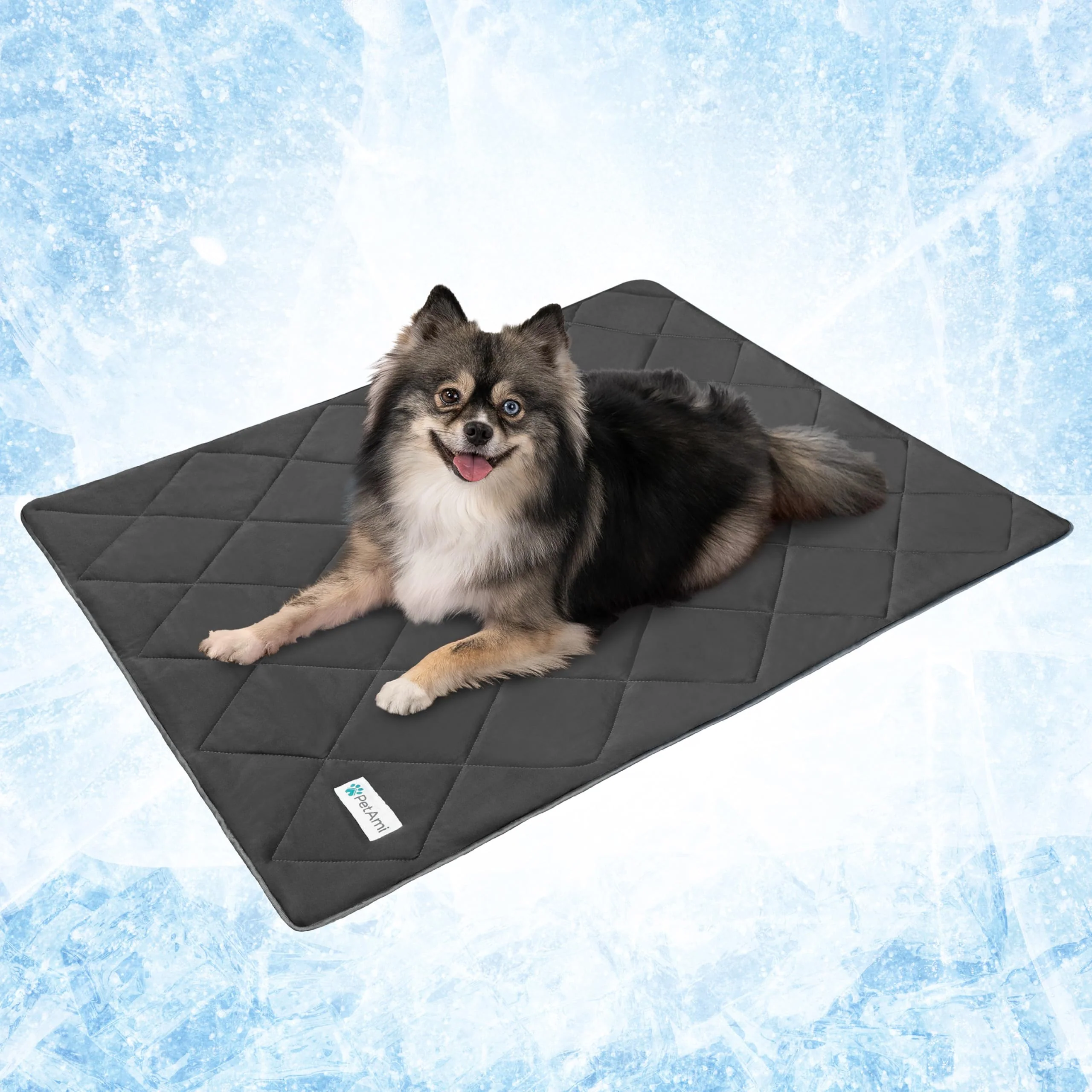 Stylish PetAmi Premium Cooling Dog Blanket Reversible Lightweight Fluffy Throw 24×32 in Grey Solid